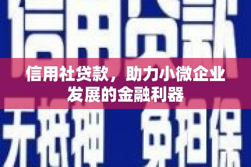 仁寿信用社贷款，助力小微企业发展的金融利器