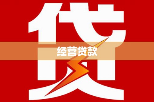 仁寿经营贷款