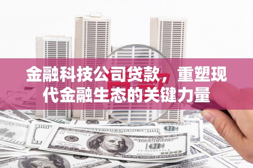 仁寿金融科技公司贷款，重塑现代金融生态的关键力量