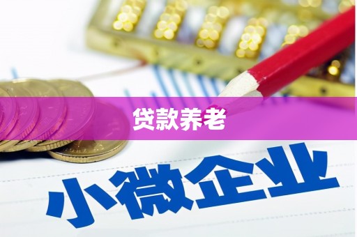 仁寿贷款养老
