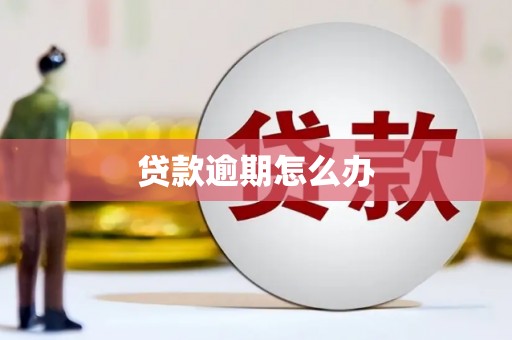 仁寿贷款逾期怎么办