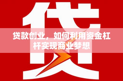 仁寿贷款创业，如何利用资金杠杆实现商业梦想