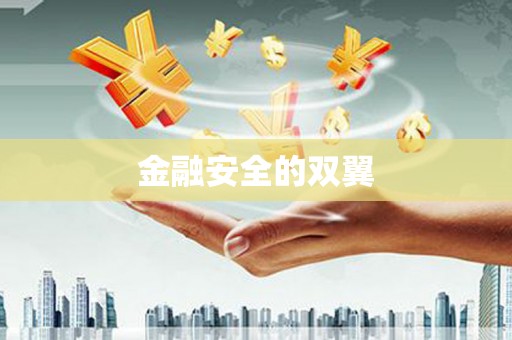 仁寿金融安全的双翼