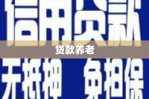 仁寿贷款养老