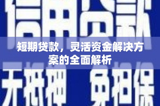 仁寿短期贷款，灵活资金解决方案的全面解析