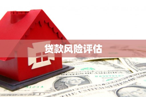 仁寿贷款风险评估