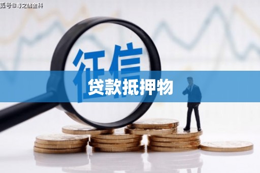 仁寿贷款抵押物