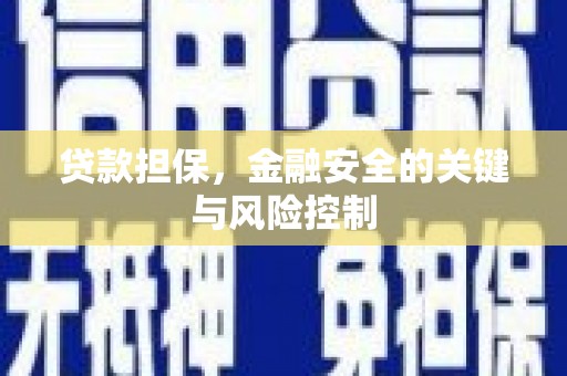 仁寿贷款担保，金融安全的关键与风险控制
