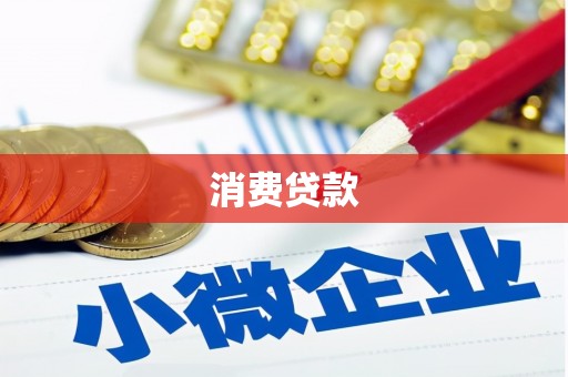 仁寿消费贷款