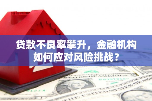 仁寿贷款不良率攀升，金融机构如何应对风险挑战？