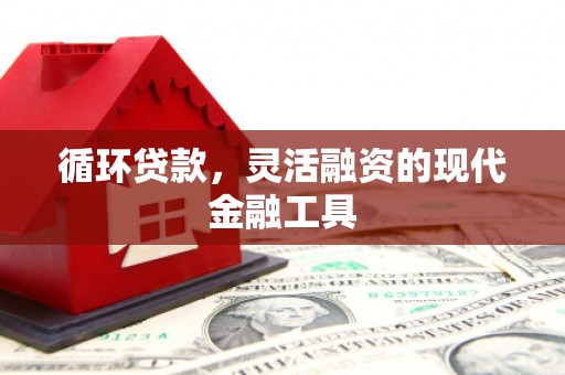 仁寿循环贷款，灵活融资的现代金融工具