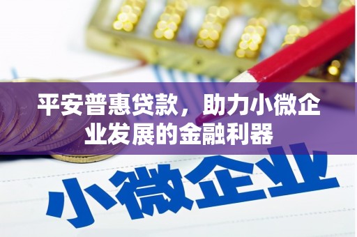 仁寿平安普惠贷款，助力小微企业发展的金融利器