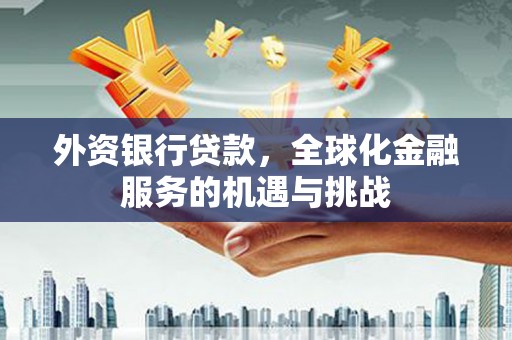 仁寿外资银行贷款，全球化金融服务的机遇与挑战