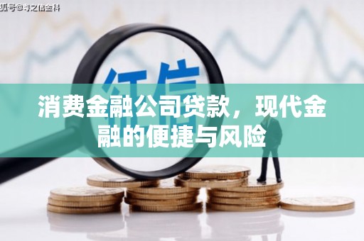 仁寿消费金融公司贷款，现代金融的便捷与风险