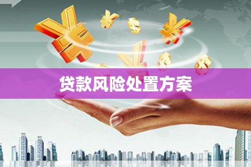 仁寿贷款风险处置方案
