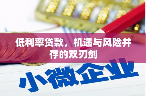 仁寿低利率贷款，机遇与风险并存的双刃剑