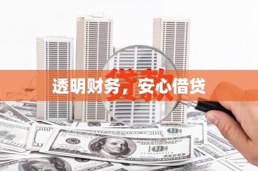 仁寿透明财务，安心借贷