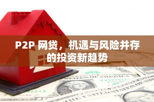 仁寿P2P 网贷，机遇与风险并存的投资新趋势