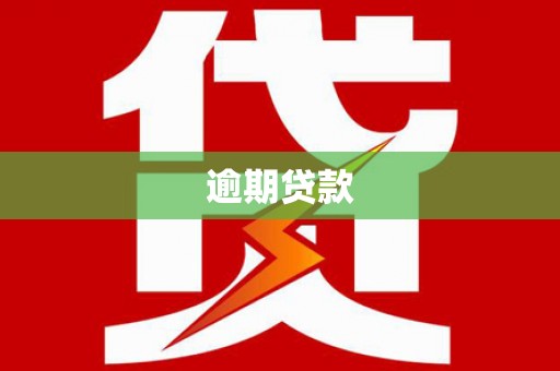 仁寿逾期贷款