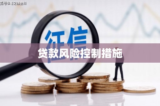 仁寿贷款风险控制措施