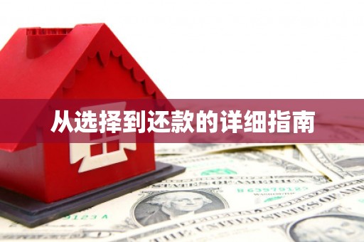 仁寿从选择到还款的详细指南