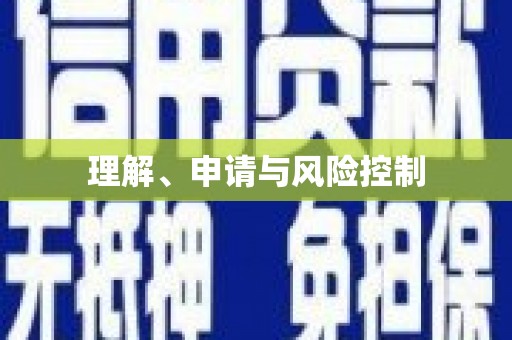 仁寿理解、申请与风险控制