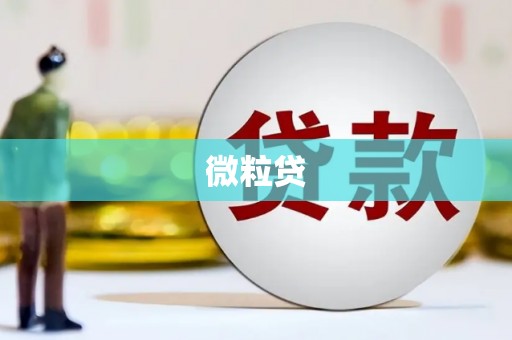 仁寿微粒贷