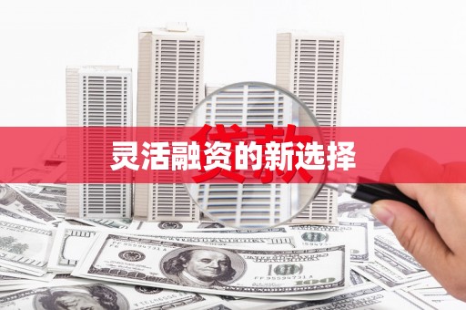 仁寿灵活融资的新选择