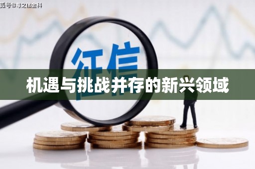 仁寿机遇与挑战并存的新兴领域
