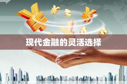 仁寿现代金融的灵活选择