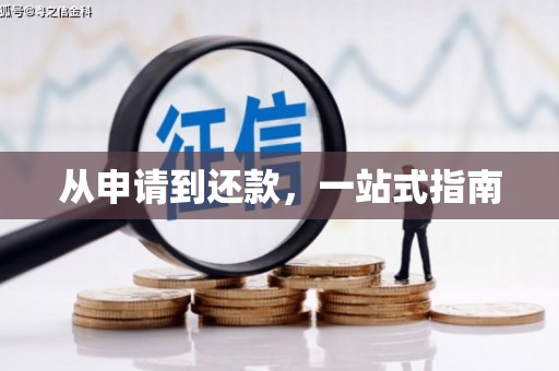 仁寿从申请到还款，一站式指南