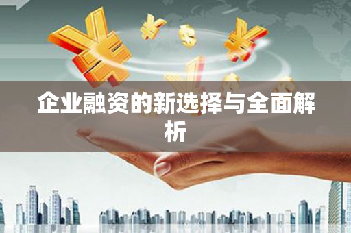 仁寿企业融资的新选择与全面解析