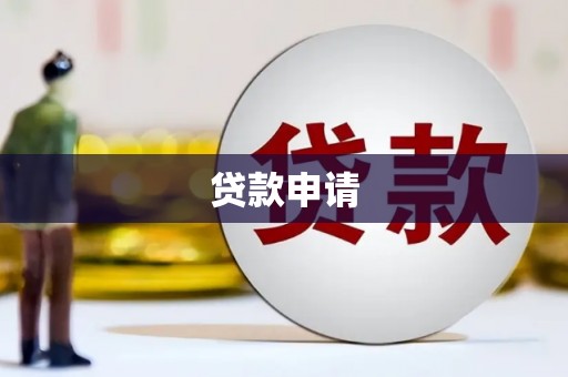 仁寿贷款申请