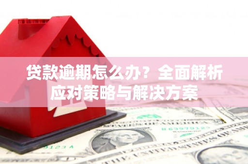 仁寿贷款逾期怎么办？全面解析应对策略与解决方案