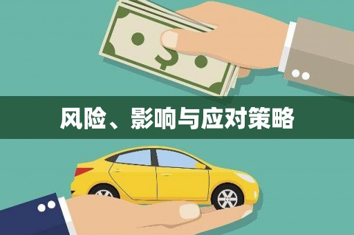 仁寿风险、影响与应对策略