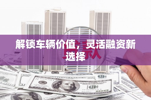 仁寿解锁车辆价值，灵活融资新选择