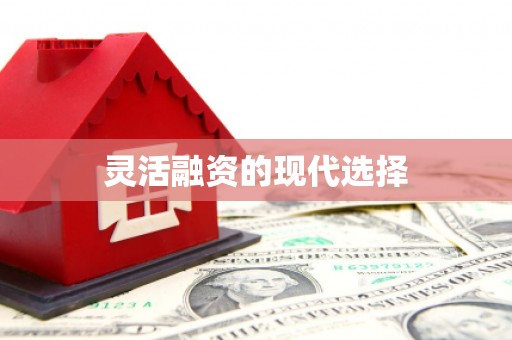 仁寿灵活融资的现代选择