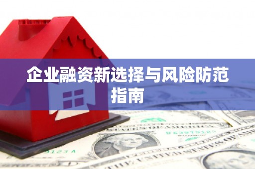 仁寿企业融资新选择与风险防范指南