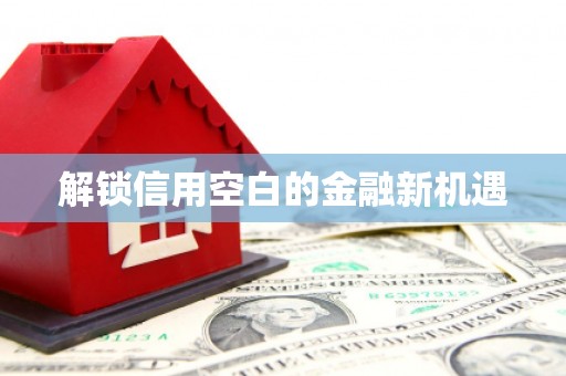 仁寿解锁信用空白的金融新机遇