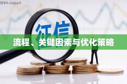 仁寿流程、关键因素与优化策略