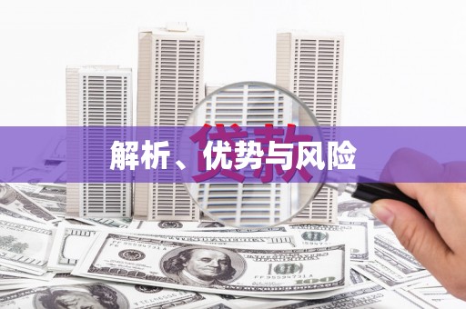 仁寿解析、优势与风险