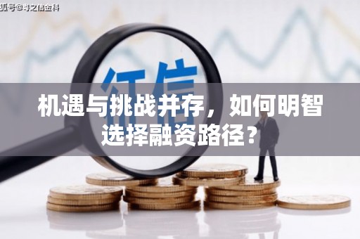 仁寿机遇与挑战并存，如何明智选择融资路径？