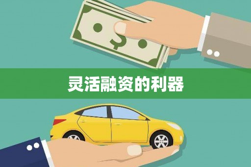 仁寿灵活融资的利器