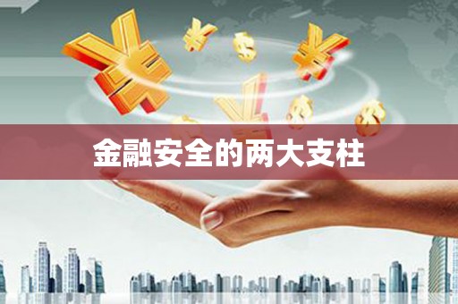 仁寿金融安全的两大支柱
