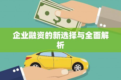 仁寿企业融资的新选择与全面解析