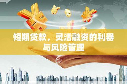 仁寿短期贷款，灵活融资的利器与风险管理