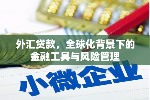 仁寿外汇贷款，全球化背景下的金融工具与风险管理