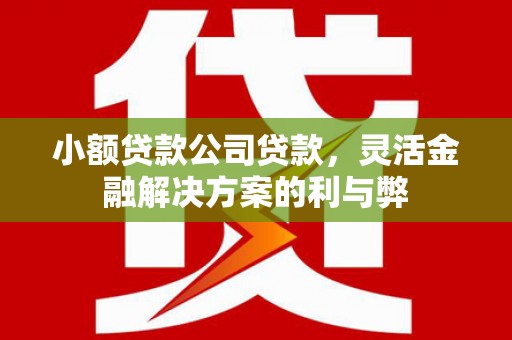 仁寿小额贷款公司贷款，灵活金融解决方案的利与弊
