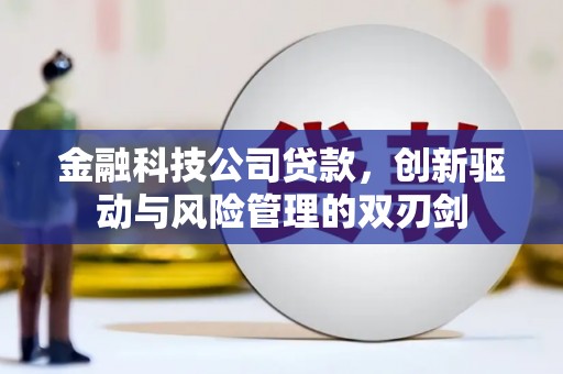 仁寿金融科技公司贷款，创新驱动与风险管理的双刃剑