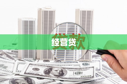 仁寿经营贷